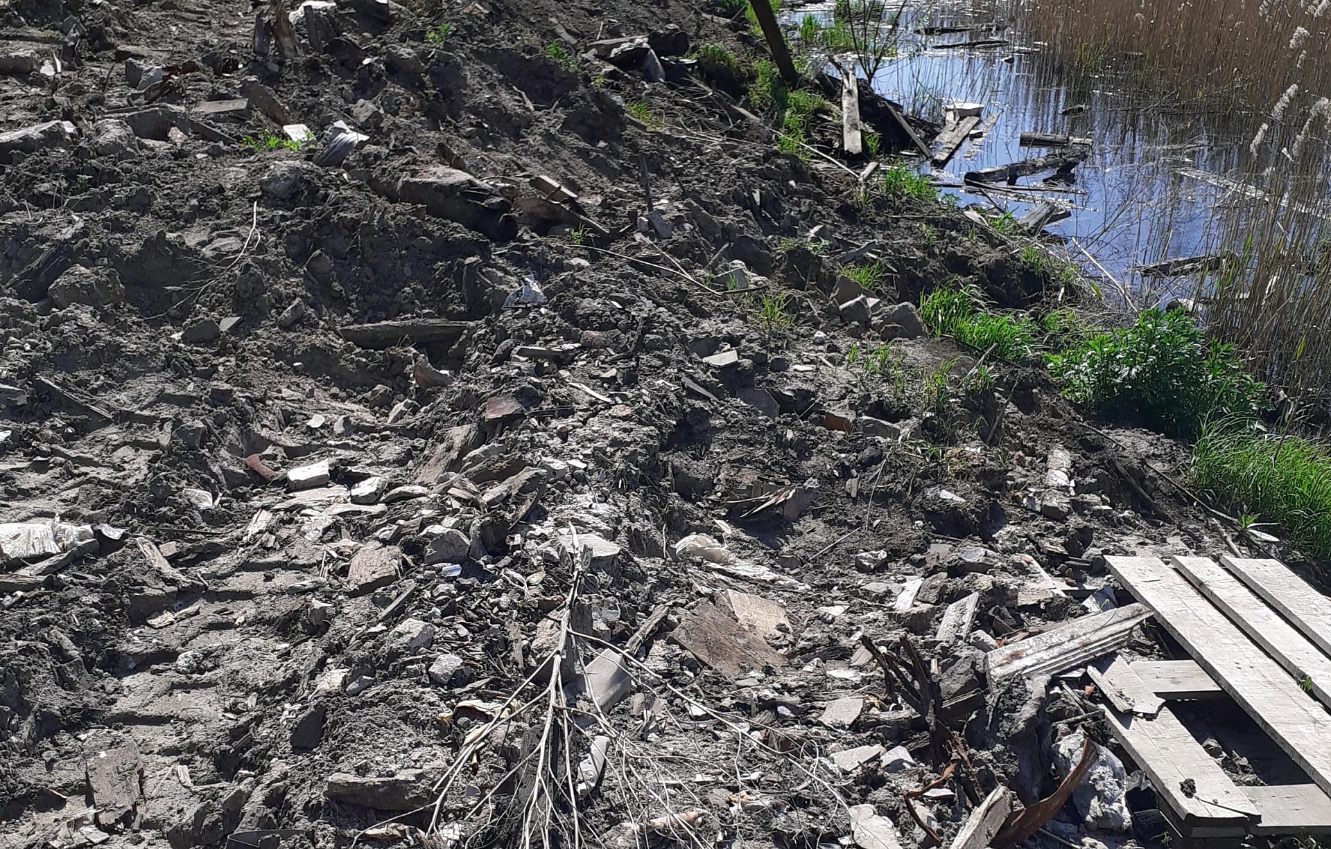 Администрация Заволжья оштрафована за неисполнение обязанности по ликвидации несанкционированной свалки